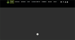 Desktop Screenshot of luckydragonsbasketball.com